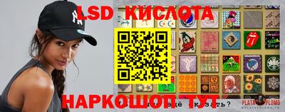 прущие грибы Баксан